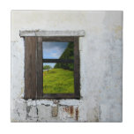summer window tile tiles