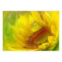 Summer wings, profile card business card templates