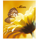 Summer Yellow Butterfly Ladies T-Shirt