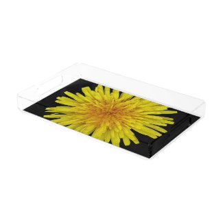 Summer Yellow Dandelion Flower on any Color