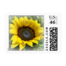 Summer Yellow Sunflower Postage