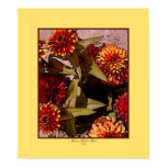 Summer Zinnias 2 Summer Zinnias 2