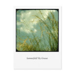 Summerfield Sky Grasses postcards
