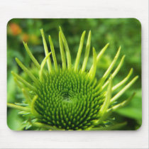 SummerFlowers020 mousepads