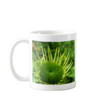 SummerFlowers020 mugs by nmpics SummerFlowers020 mugs