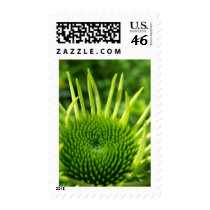 SummerFlowers020 postage by nmpics SummerFlowers020 postage