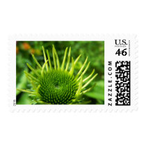 SummerFlowers020 postage by nmpics SummerFlowers020 postage