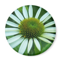 SummerFlowers032 magnets