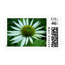 SummerFlowers032 postage by nmpics SummerFlowers032 postage