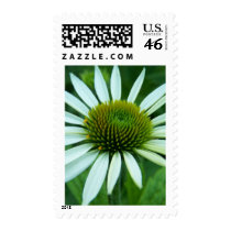 SummerFlowers032 postage by nmpics SummerFlowers032 postage