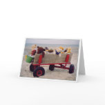 summerholiday