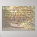 Summerlands Poster