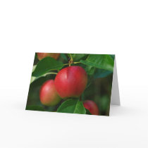 Summerred Apples Greeting Card cards