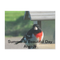 Summers Beautty Postcard