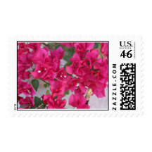 Summers Bougainvillea Blossoms Postage