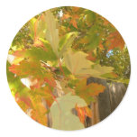 Summer's Gone Stickers