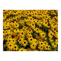 Summers Hues posters by coaster_cog Summers Hues posters