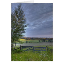 summers pasture cards by Digitalwonder summers pasture cards