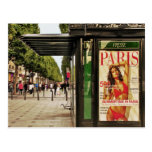 Summertime in Paris Postcard