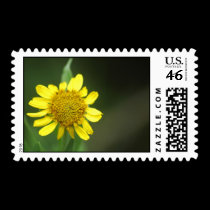 Summertime stamps