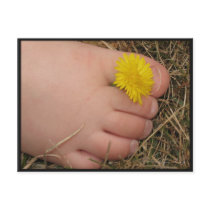 Summertime postcards
