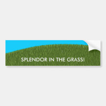 SUMMERTIME SPLENDOR IN GRASS BUMPER STICKER