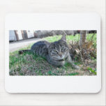 Summeryday Mousepad