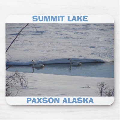 Paxson Alaska