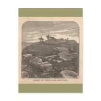 Summit of White Face Mountain postcards