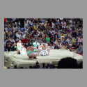 Sumo poster