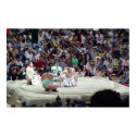 Sumo posters