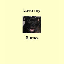 Sumo t-shirts