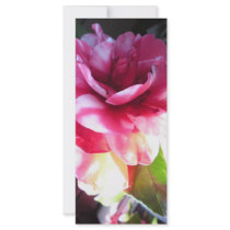 Sun and Flower rack cards