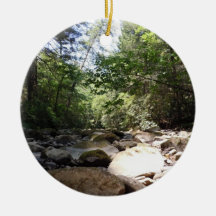 Sun and Shadow in a Creek Bed Christmas Tree Ornaments