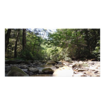 Sun and Shadow in a Creek Bed Customized Photo Card