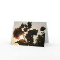 Sun and Sunflower Card (Blank)