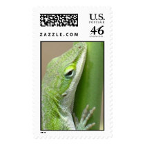 "Sun-bathing" postage by gfrbf3761 "Sun-bathing" postage