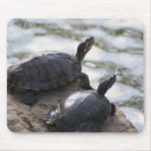 Sun Bathing Turtles Mousepads