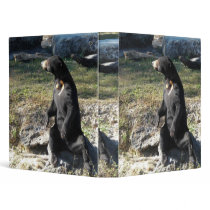 Sun Bear at the Zoo Vinyl Binder