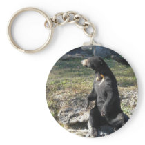 Sun Bear at the Zoo Key Chain