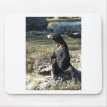 Sun Bear at the Zoo Mouse Pads