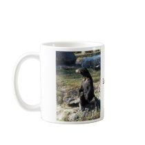 Sun Bear at the Zoo Mug