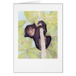Sun Bear Cub Card
