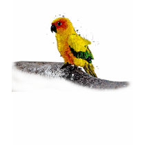 SUN-BIRD t-shirts