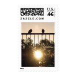 Sun Birds postage