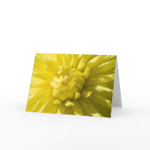 Sun burst greeting card
