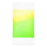 Sun Bursting Spring Photo Cards