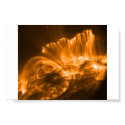 SUN BURSTS posters