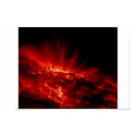 sun bursts posters