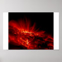 sun bursts posters